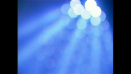 A Stranger Between My Legs