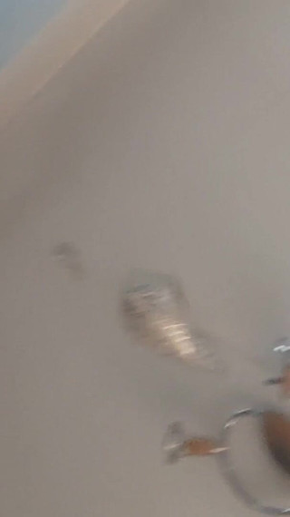 Rita Vegas - Vid_20241127_105126