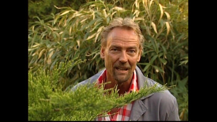 Unforgettable Orgasm