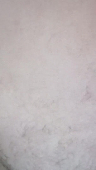 I Fuck My Stepdaughter, Goat