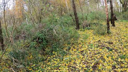 Come on Over There and Take off Your Clothes