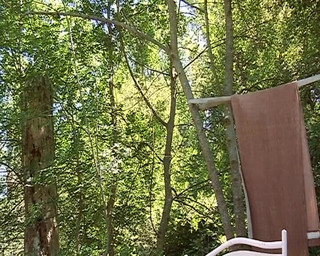 Cum Eating French MILF Pounded in Outdoor Threesome