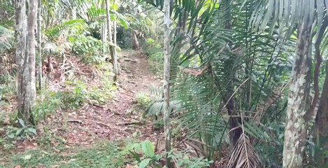 Fucking Outdoors Part 2