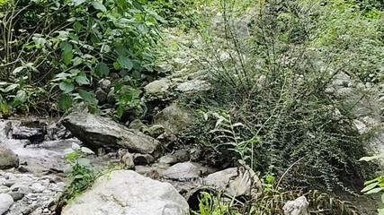 Indian Bhabhi Having Sex with Her Boyfriend While Roaming in the Forest.