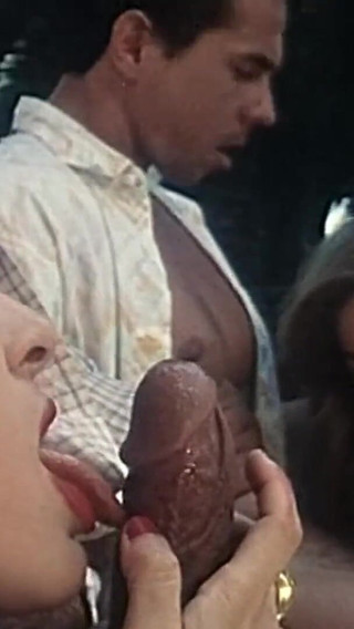 The Clinic of Anal Inspections