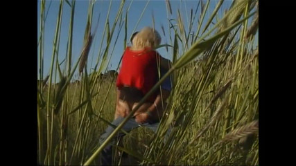 I Fuck You in the Countryside