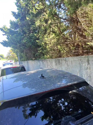 Special Exhibition, I Play with My Clit in the Middle of the Street Until Orgasm