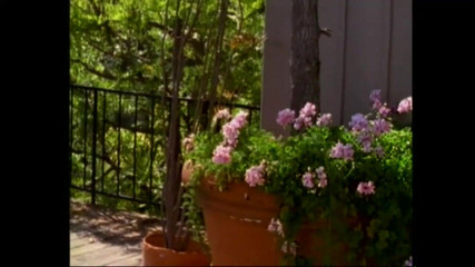 Laura and Tony Each Other