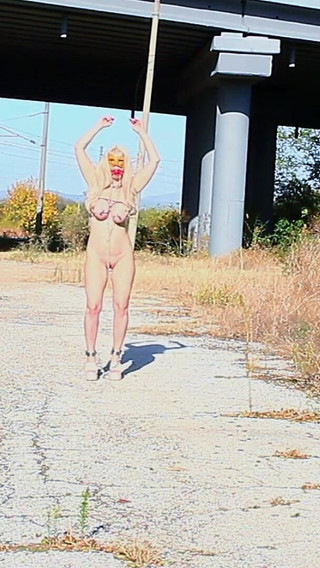 Punishing the Slave with a Ball in the Mouth and a Hook in the Ass