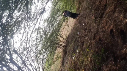 Stepaunty Outdoor Village Sex