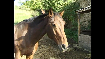 Two Sluts Take It Hard in the Ass