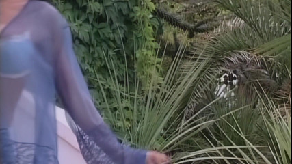 Sexy Threesome and Group Fuck Outdoor