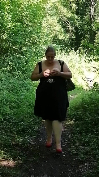 Outdoor in the Forest