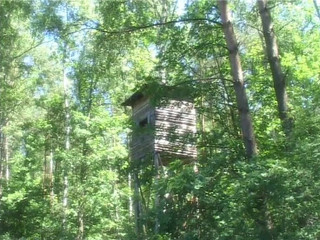 Anal Lust - (full Movie)