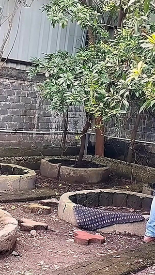 Garden Girlfriend with Boyfriend Blowjob and Fucking Without Condom