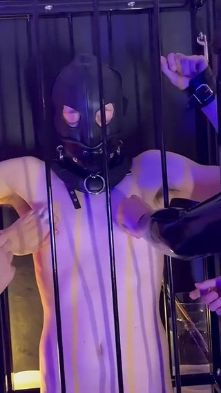 Teasing Our Caged Slave