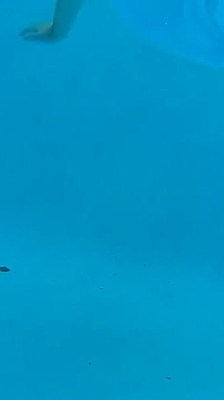 Couple Underwater Diving and Swimming